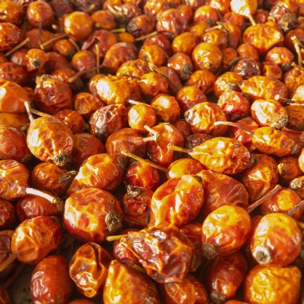 Suh šipek