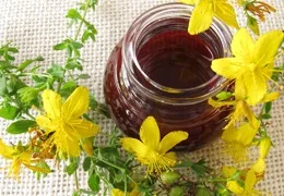 Recept za šentjanževo olje Recept za šentjanževo olje